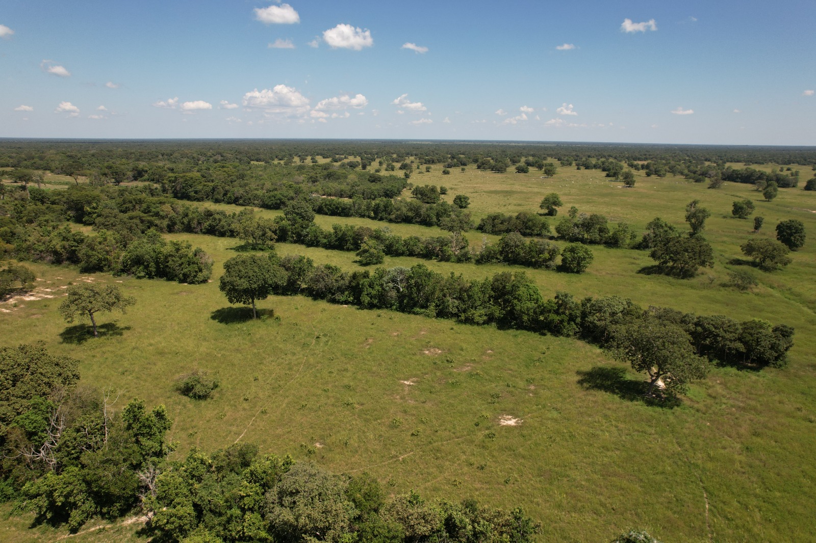 Fazenda à Venda – 5.000 Hectares entre Aquidauana e Rio Negro/MS 🌾🐂