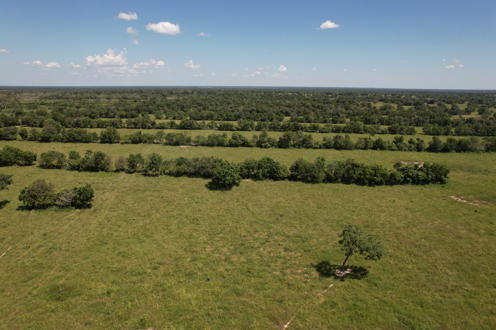 Fazenda à Venda – 5.000 Hectares entre Aquidauana e Rio Negro/MS 🌾🐂