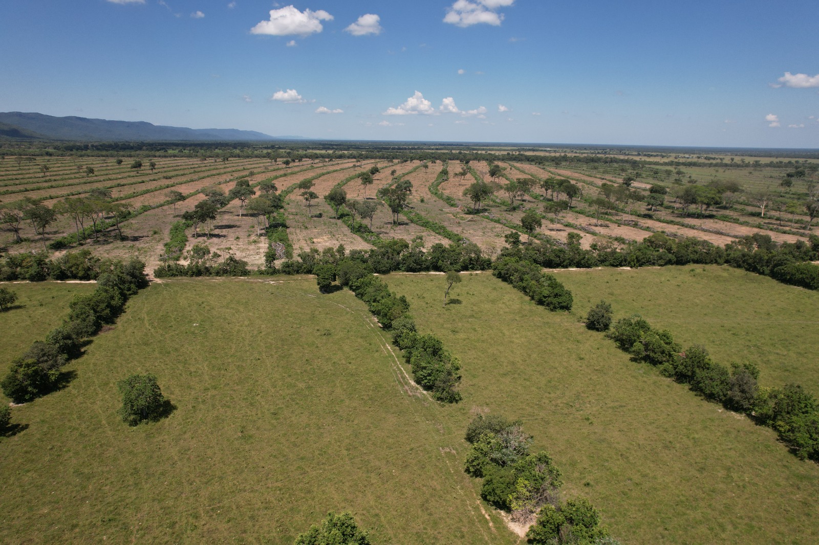 Fazenda à Venda – 5.000 Hectares entre Aquidauana e Rio Negro/MS 🌾🐂