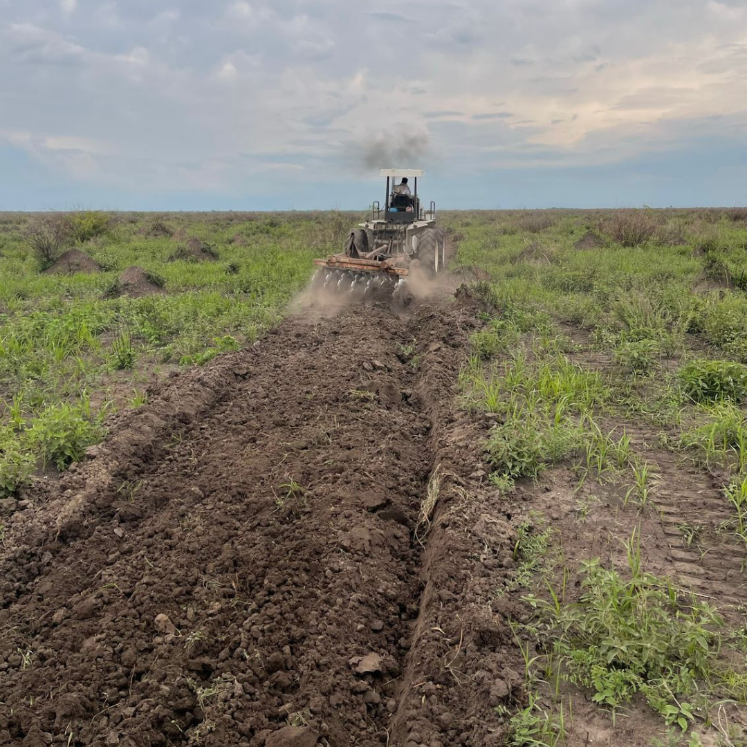 Fazenda à Venda no Pantanal – 16700Hectares 🌿🐃