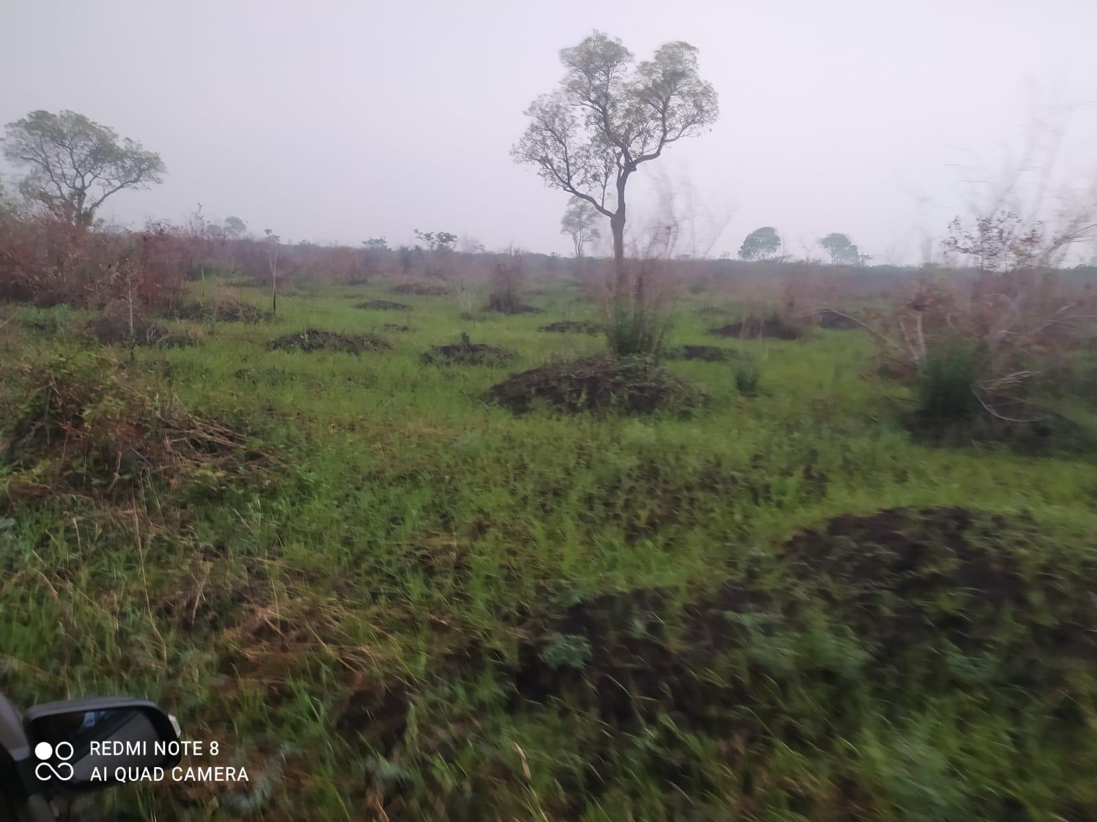 Fazenda à Venda no Pantanal – 16700Hectares 🌿🐃