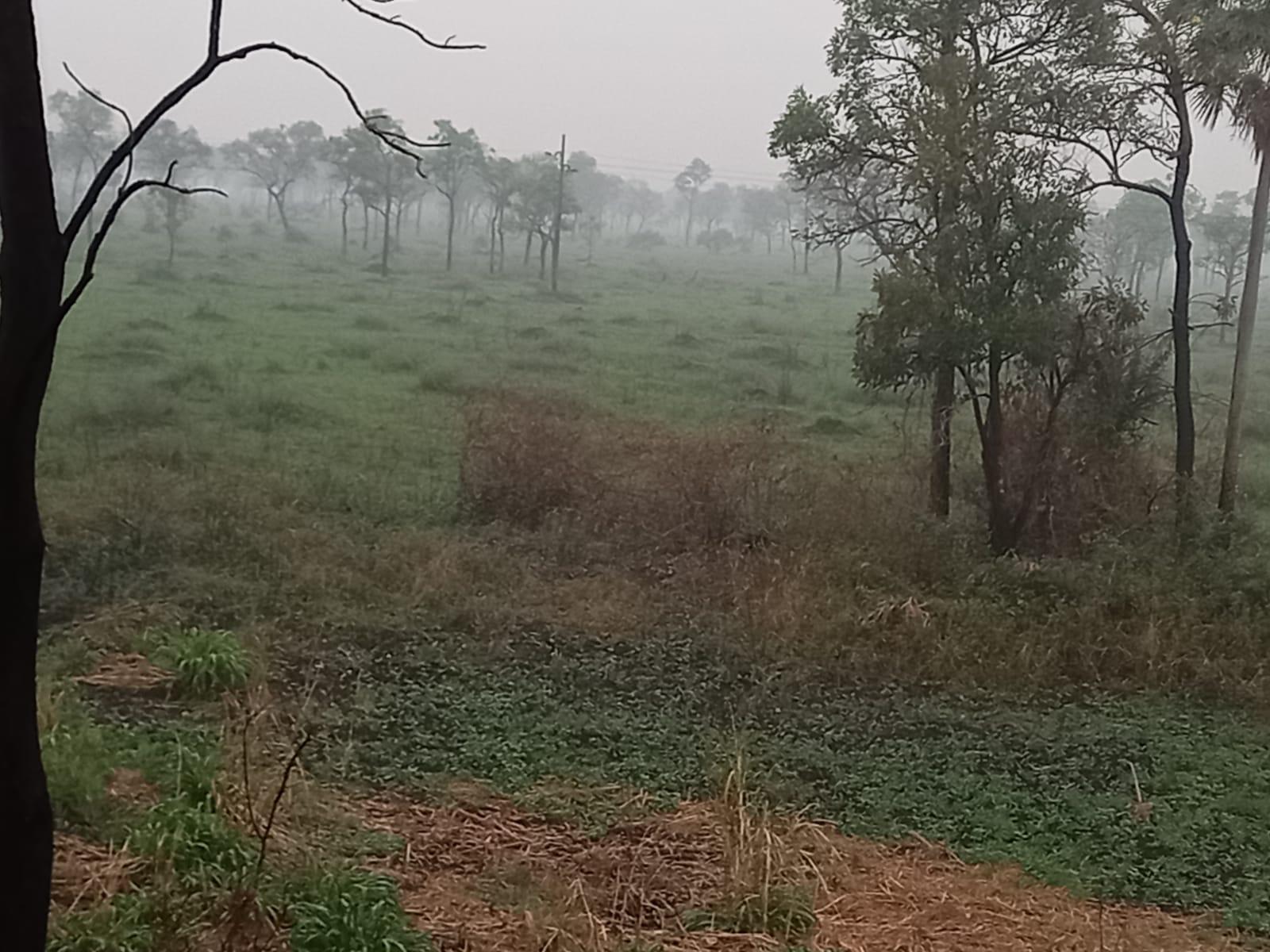 Fazenda à Venda no Pantanal – 16700Hectares 🌿🐃