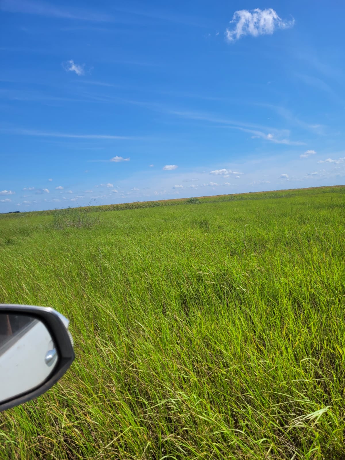 Fazenda à Venda no Pantanal 