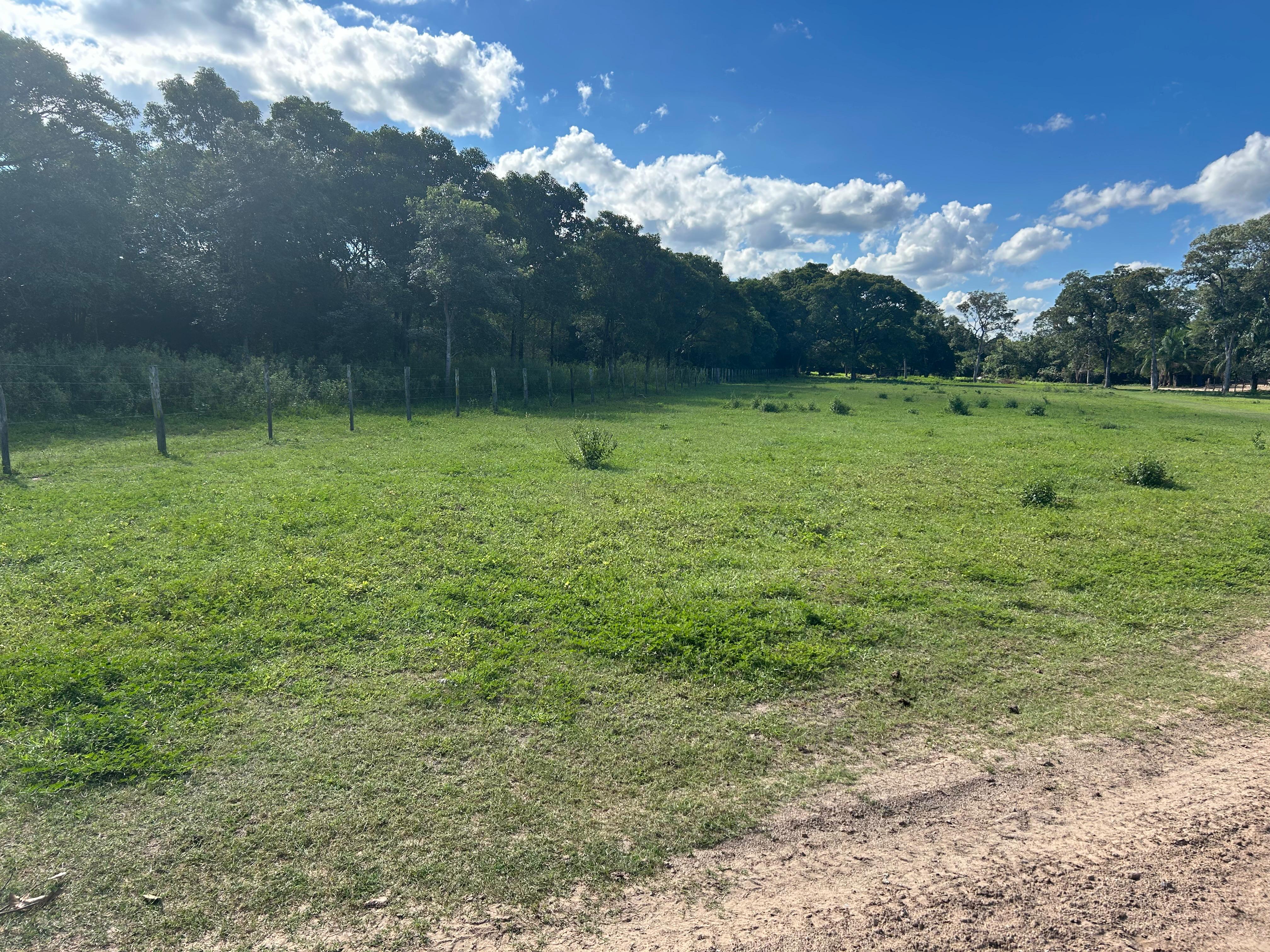 Fazendas à Venda no Pantanal - Região Abobral