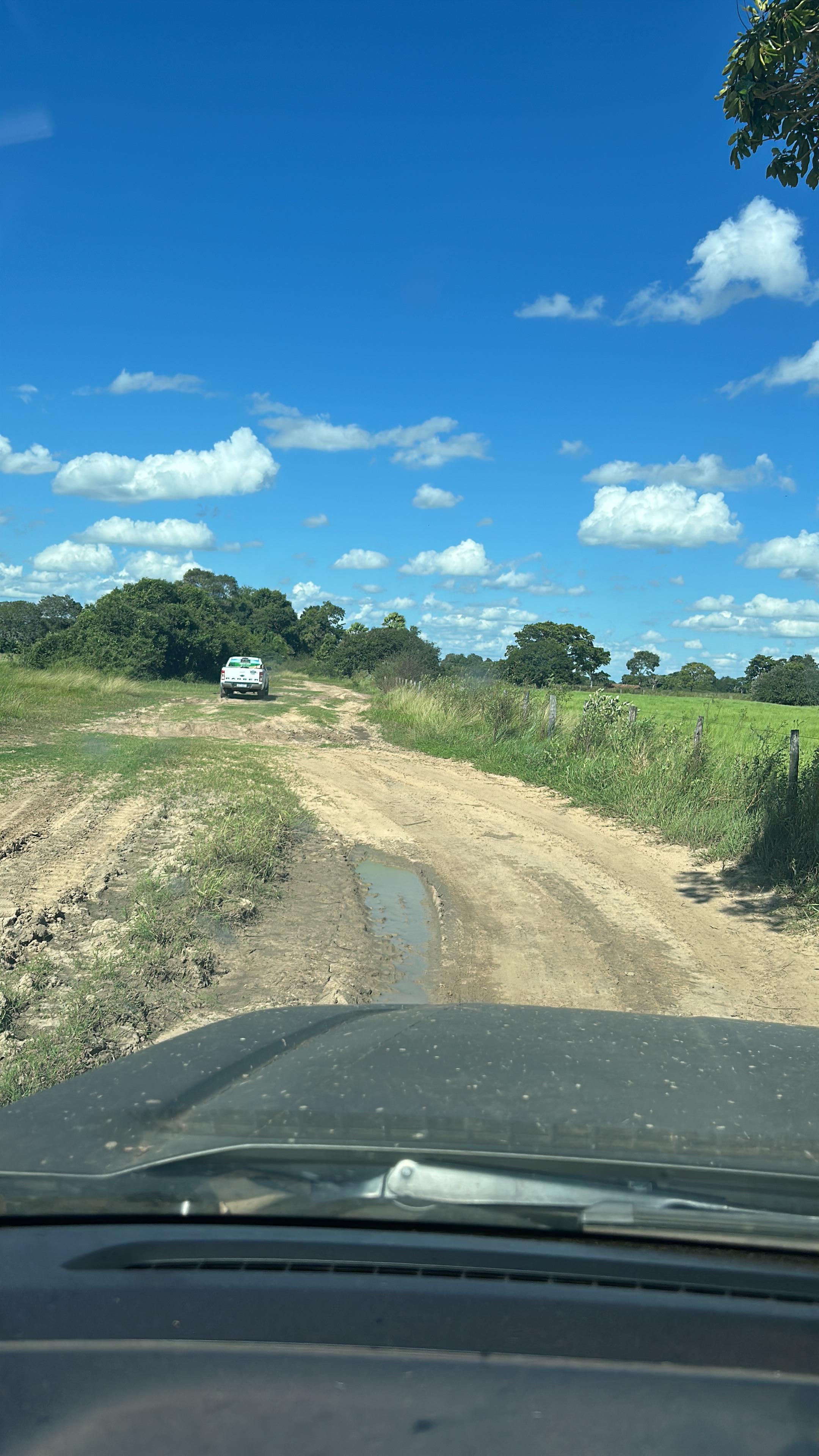 Fazendas à Venda no Pantanal - Região Abobral