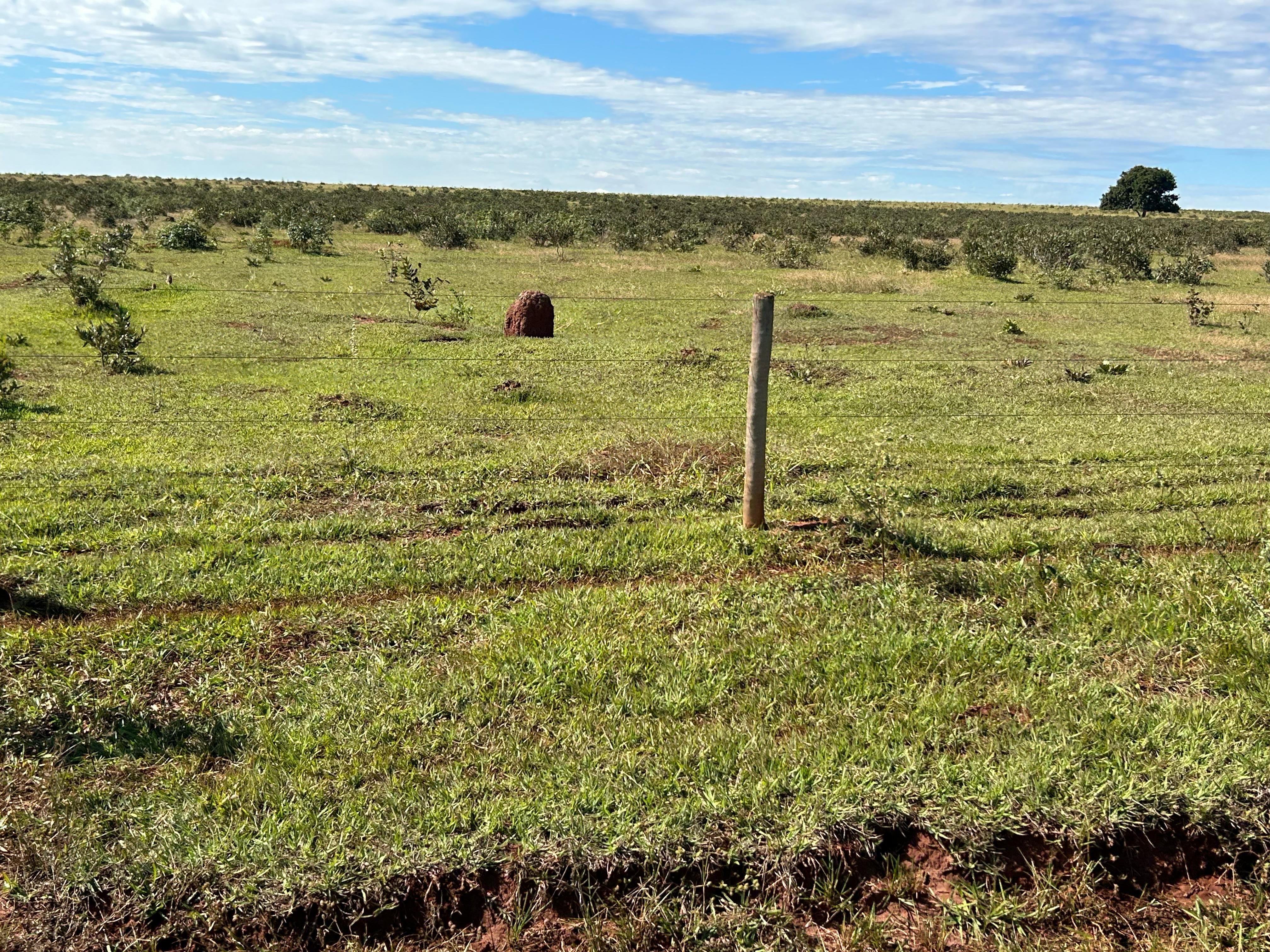 Fazenda à Venda – 1.000 Hectares | Camapuã/MS | Dupla Aptidão | Rio na Divisa