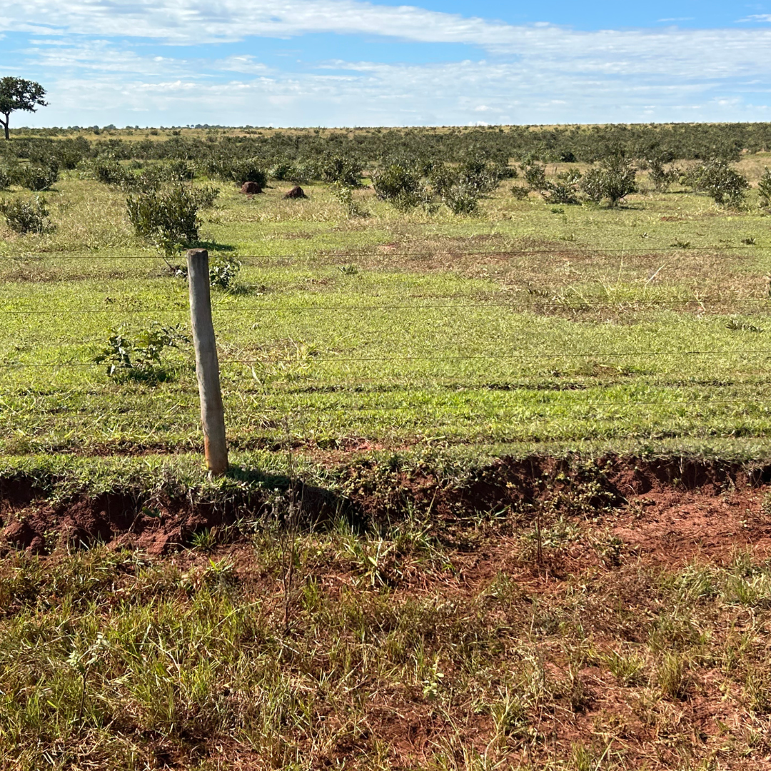 Fazenda à Venda – 1.000 Hectares | Camapuã/MS | Dupla Aptidão | Rio na Divisa