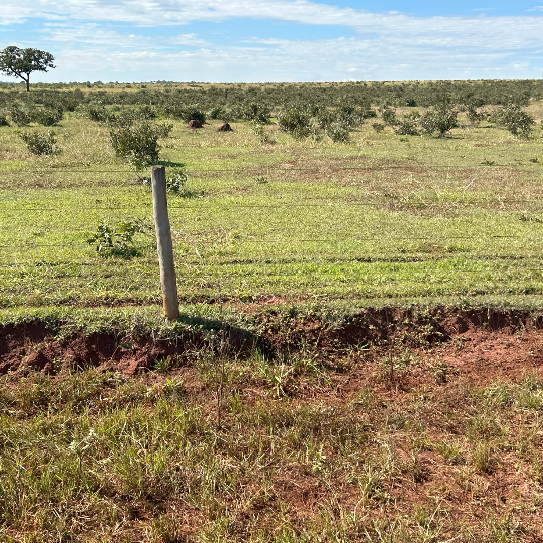 Fazenda à Venda – 1.000 Hectares | Camapuã/MS | Dupla Aptidão | Rio na Divisa