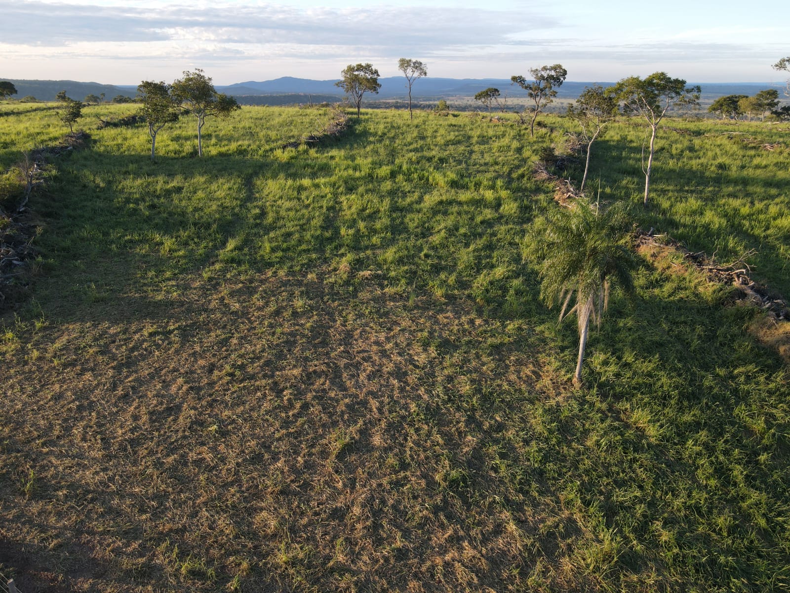 Fazenda à Venda – 7.500 Hectares | Região de Aquidauana/MS | Pecuária Estruturada | Rio na Divisa