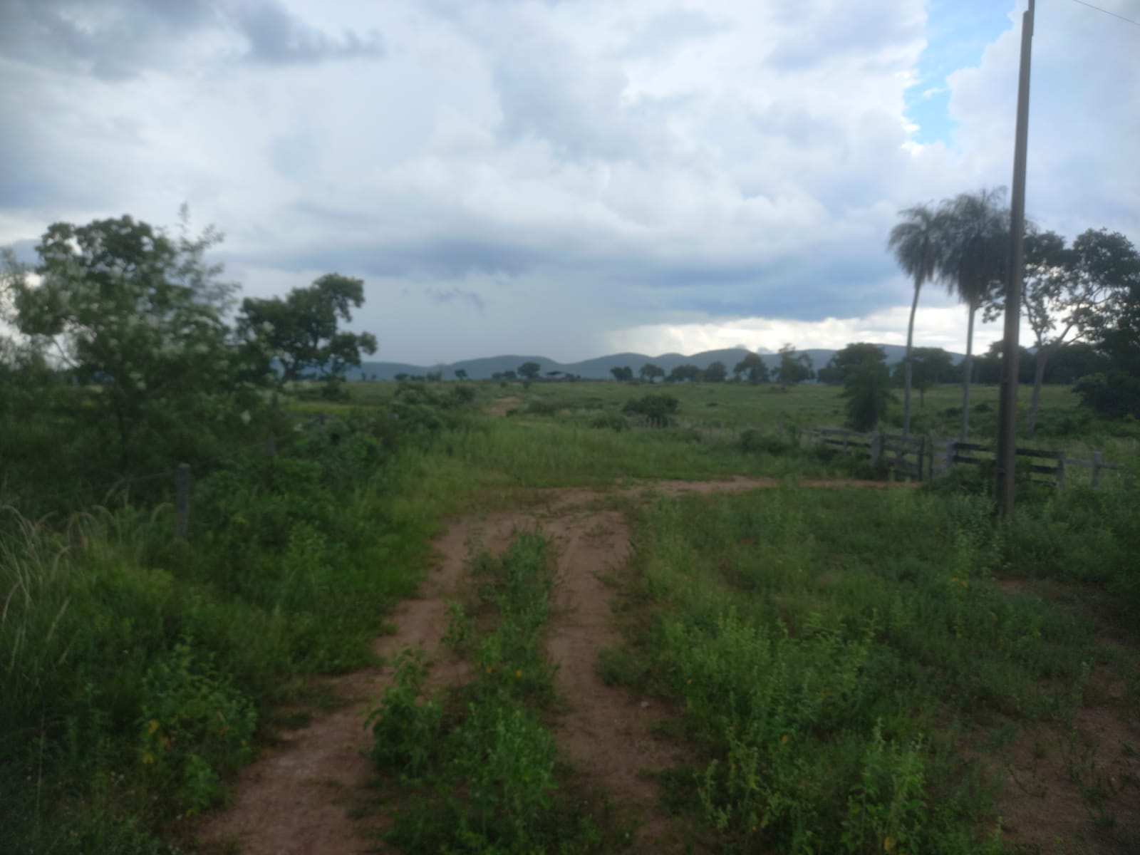 Fazenda à Venda – 6.800 Hectares | Região de Porto Murtinho/MS | Estruturada para Pecuária