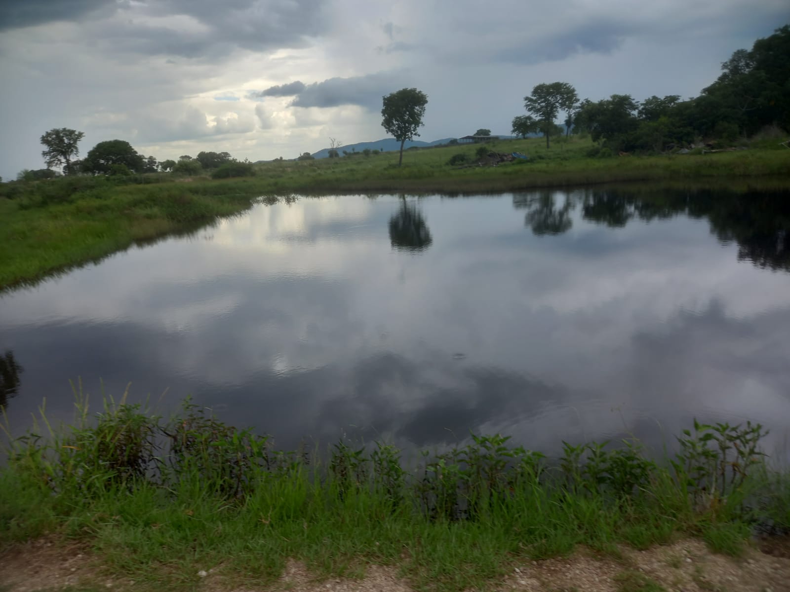 Fazenda à Venda – 6.800 Hectares | Região de Porto Murtinho/MS | Estruturada para Pecuária