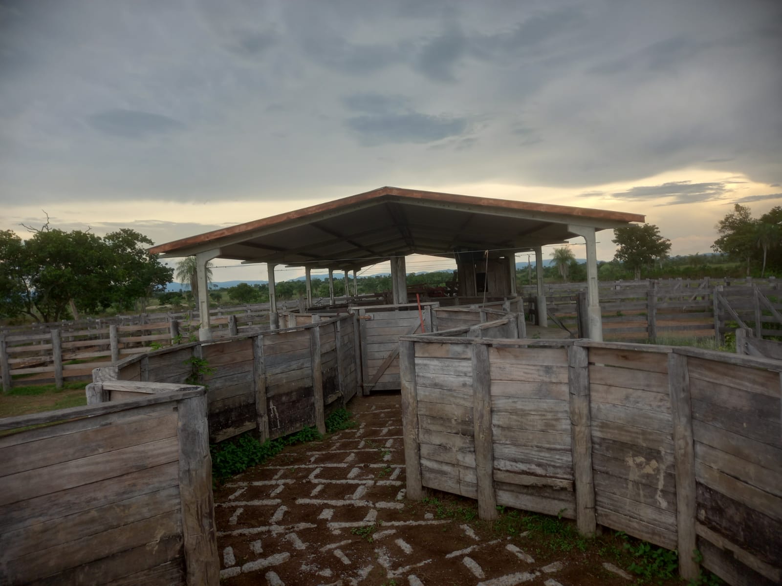 Fazenda à Venda – 6.800 Hectares | Região de Porto Murtinho/MS | Estruturada para Pecuária
