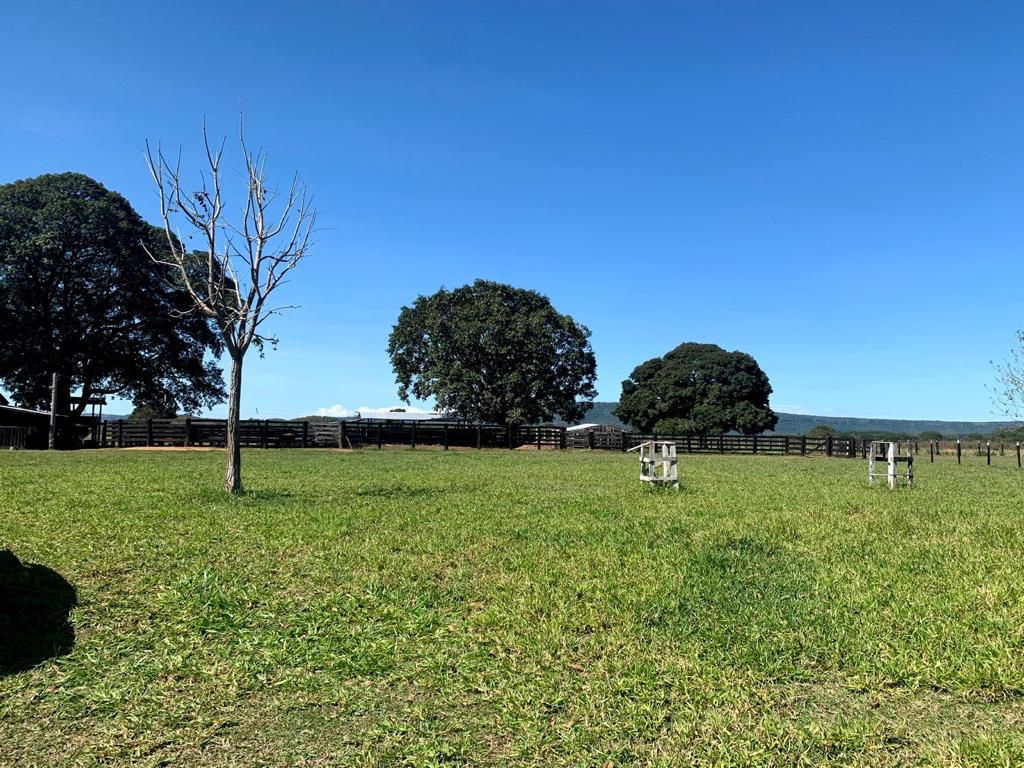 Fazenda à Venda – 2.420 Hectares | Região do Taboco/MS | Pecuária Estruturada | Excelente Localização