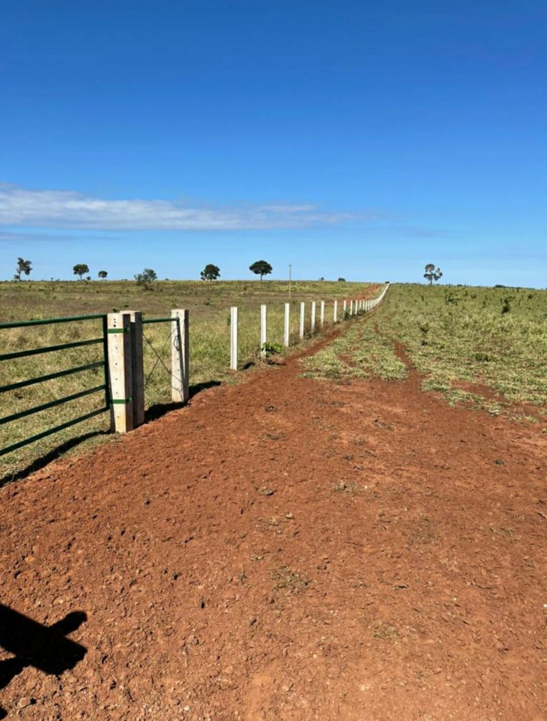 Fazenda à Venda – 2.450 Hectares | Região do Figueirão/MS