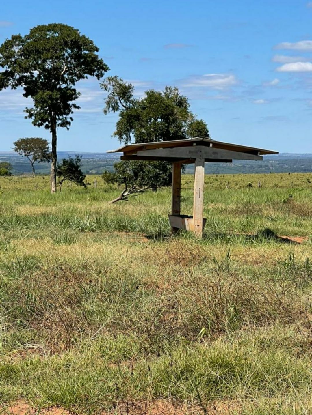 Fazenda à Venda – 2.450 Hectares | Região do Figueirão/MS