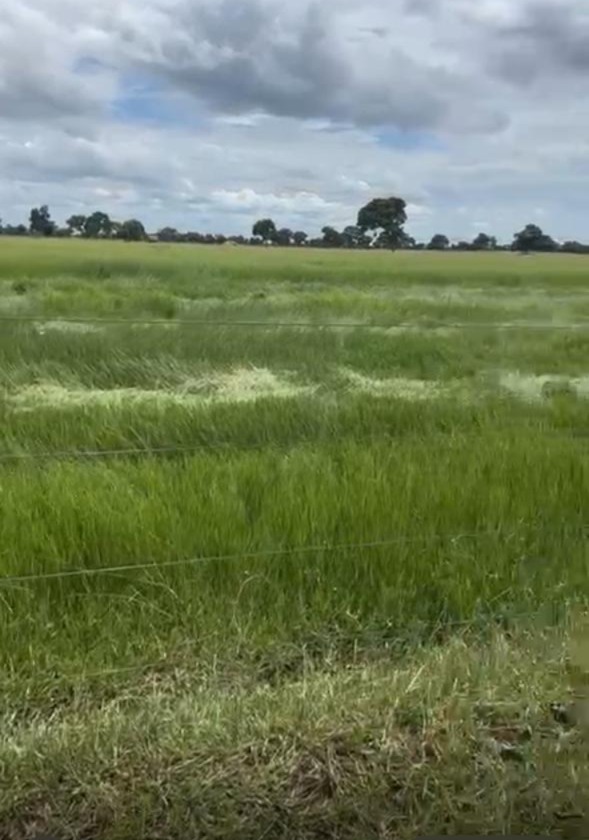 Fazenda à Venda – Pantanal da Nhecolândia / Serra da Alegria