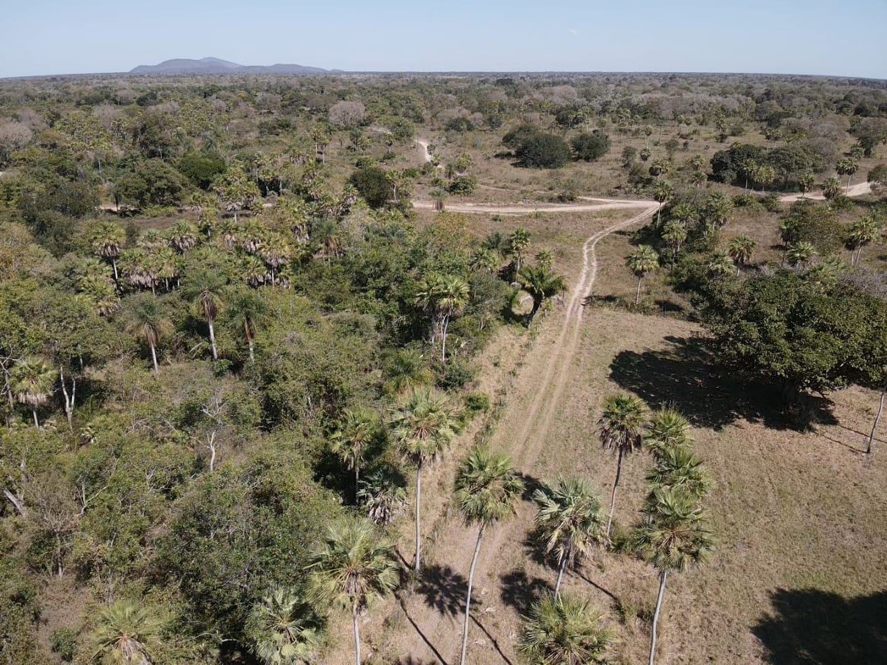 FAZENDA À VENDA – REGIÃO DE CORUMBÁ/MS