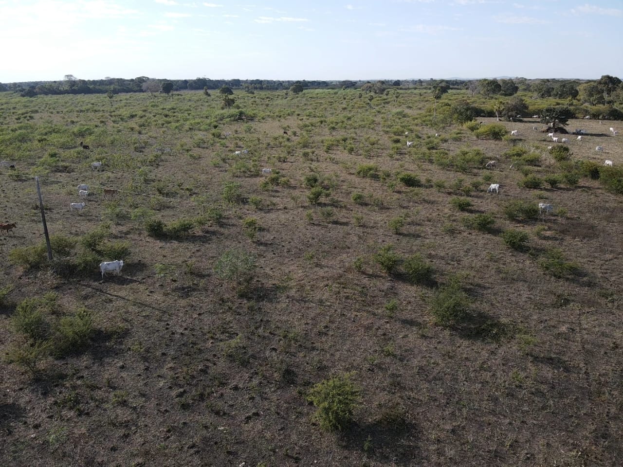  FAZENDA À VENDA – REGIÃO DE MIRANDA/MS