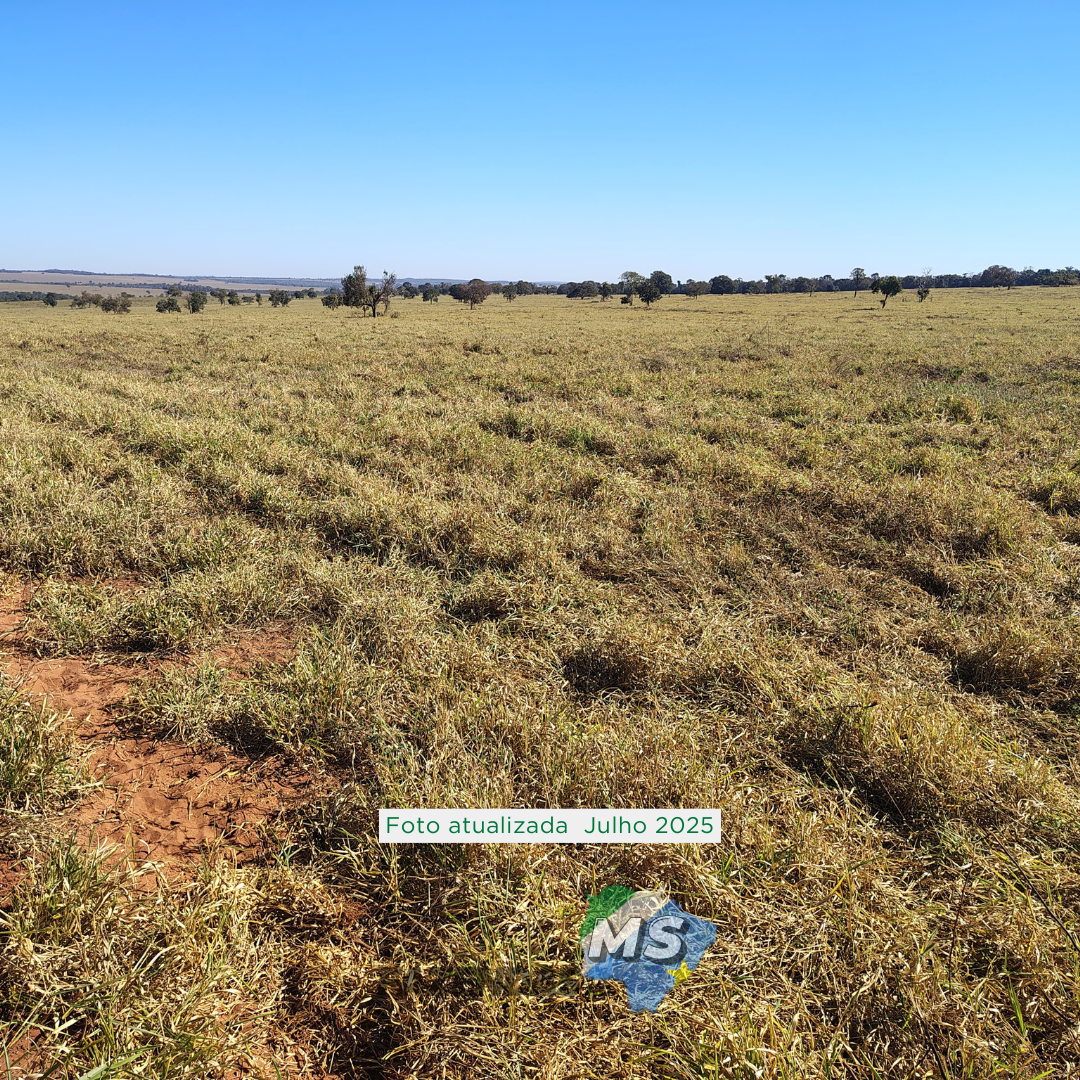 FAZENDA À VENDA – REGIÃO DE CAMPO GRANDE/MS
