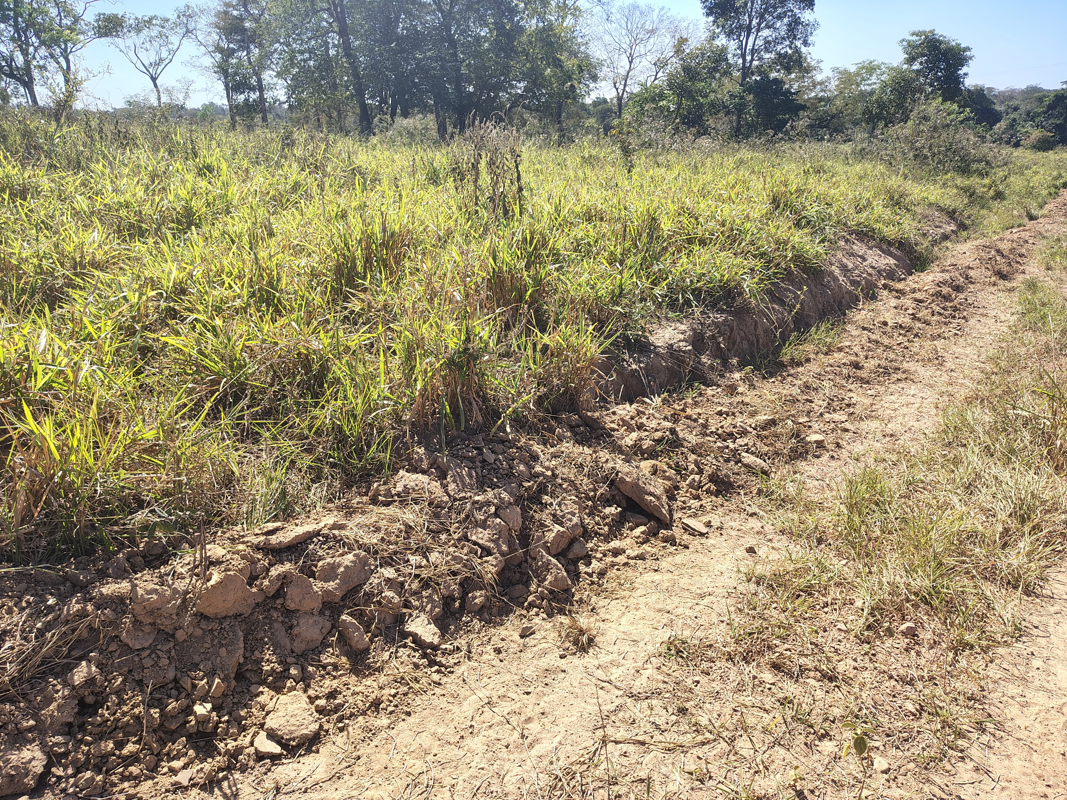  FAZENDA À VENDA – REGIÃO DE AQUIDAUANA/MS