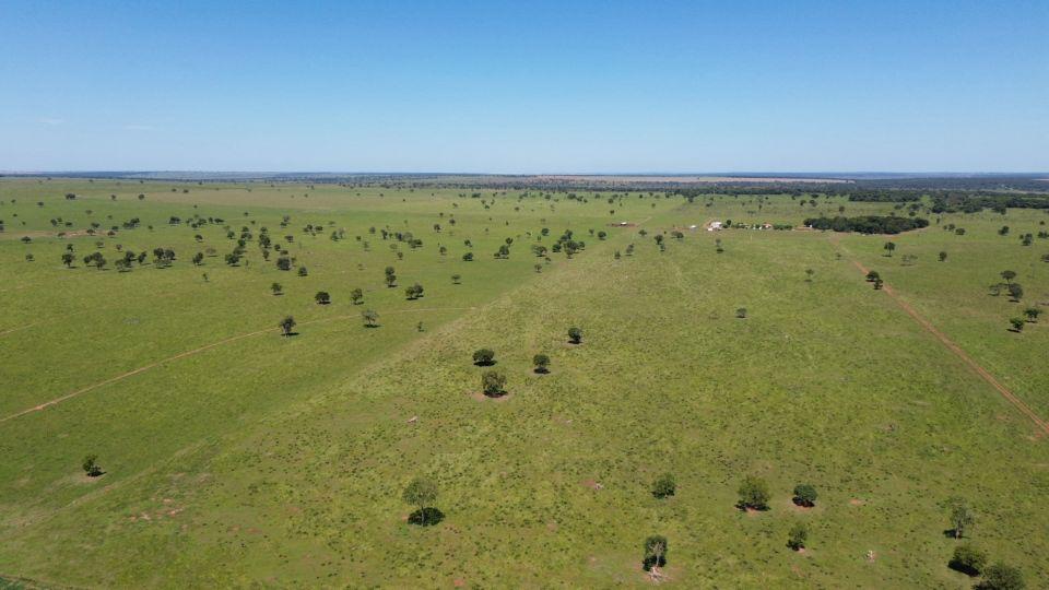 Fazenda à Venda – Rigião do Nova Alvorada
