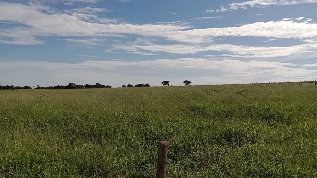 Fazenda à Venda – Região de Campo Grande/MS