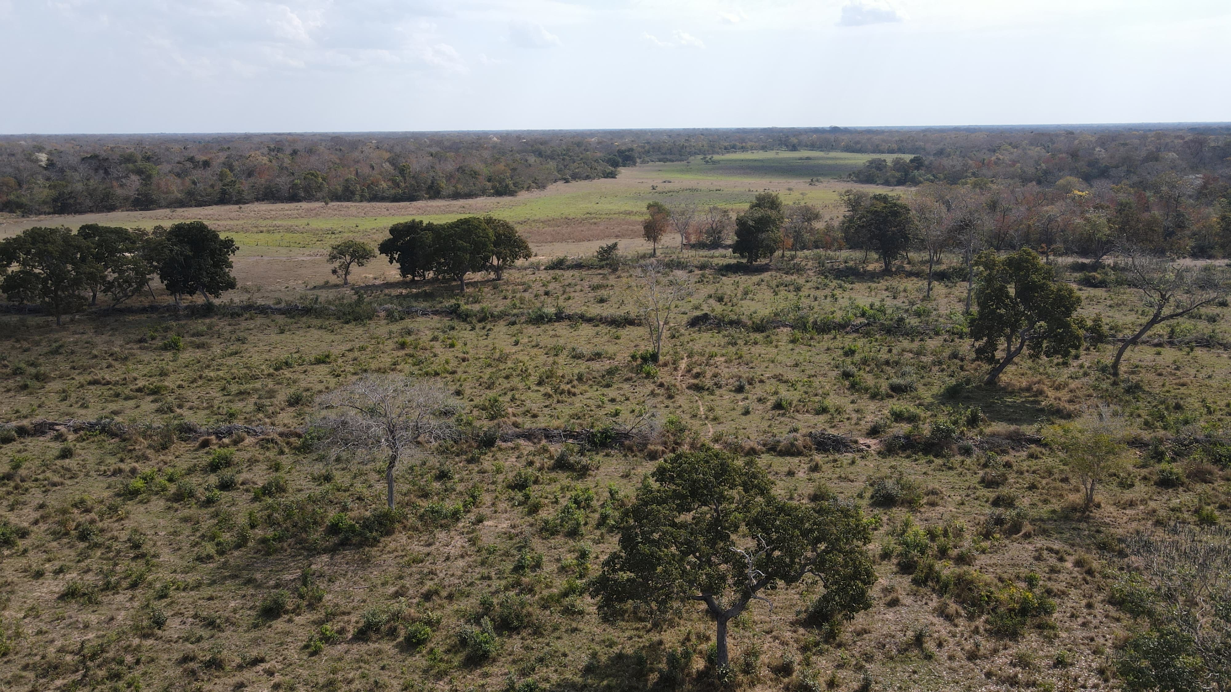 Fazenda à Venda – Pantanal de Rio Negro/MS