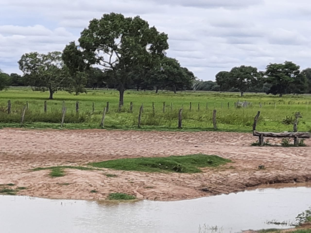 Fazenda à Venda – Pantanal do Rio Verde/MS