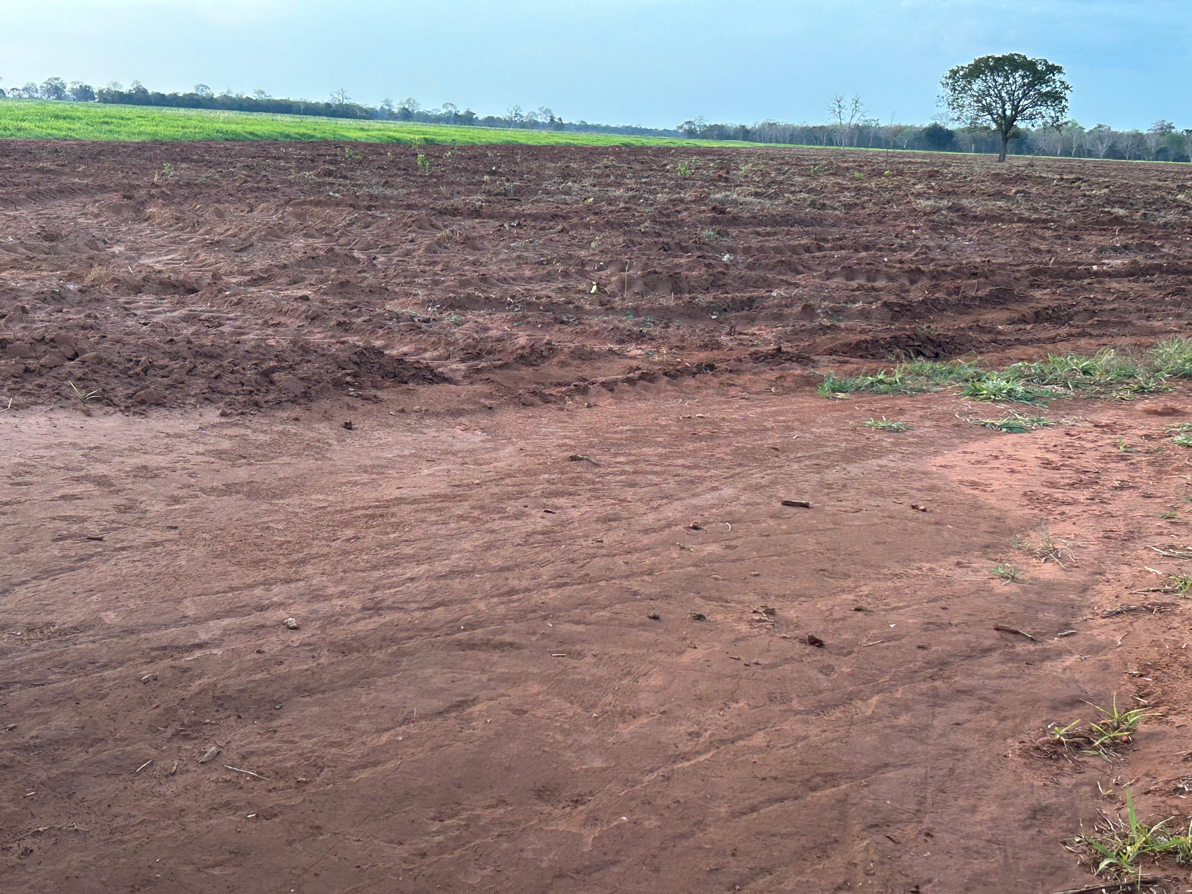 Fazenda à Venda – Região de Rochedo/MS