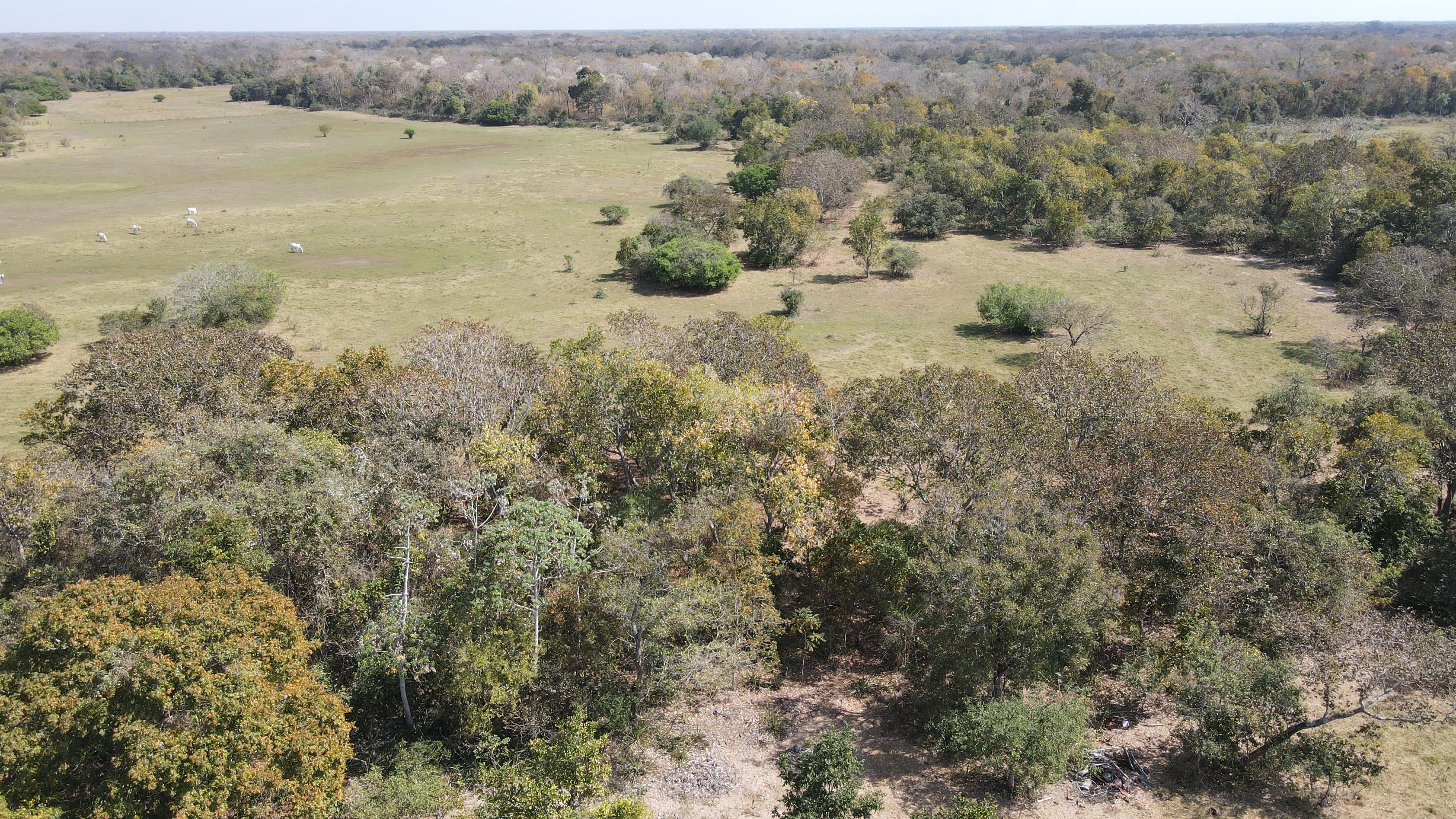 Fazenda à Venda – Pantanal de Rio Negro/MS