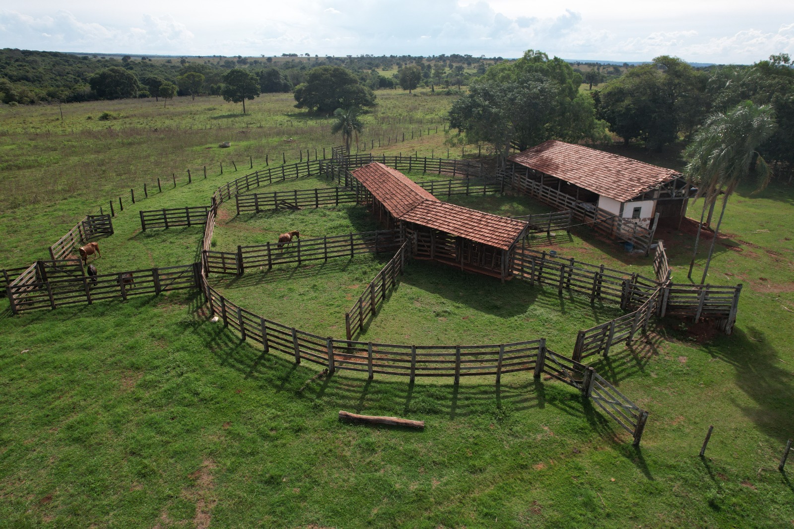 Fazenda à venda – Inocência / MS – 460 hectares
