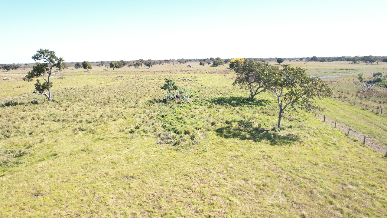 Fazenda à Venda -  Região do Pantanal Nhecolândia /MS