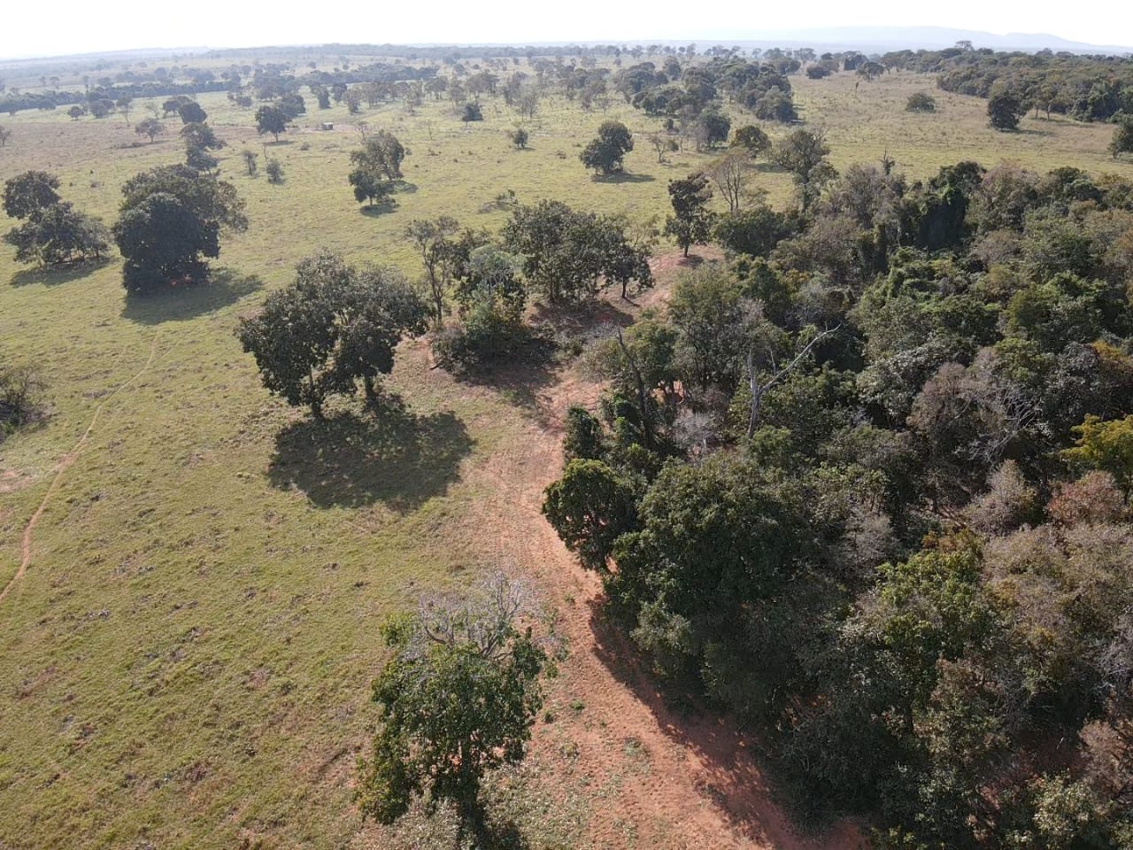 Fazenda à Venda – Região de Rio Negro/MS