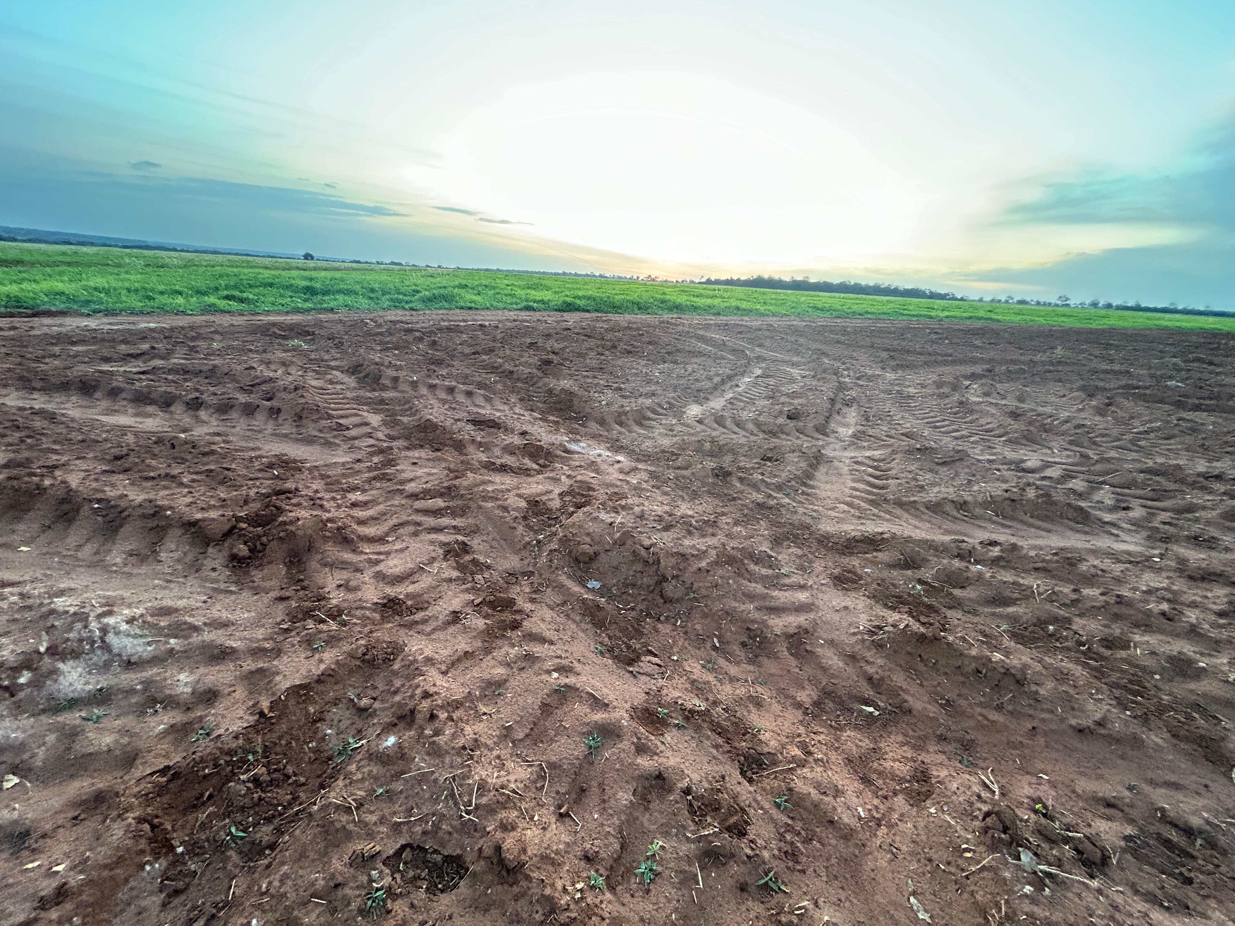 Fazenda à Venda – Região de Rochedo/MS