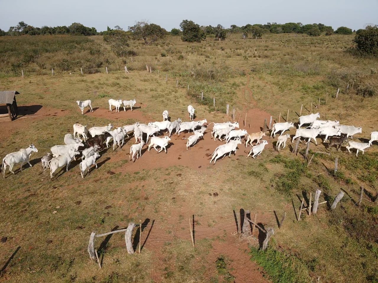 Fazenda à Venda – Região de Rio Negro/MS