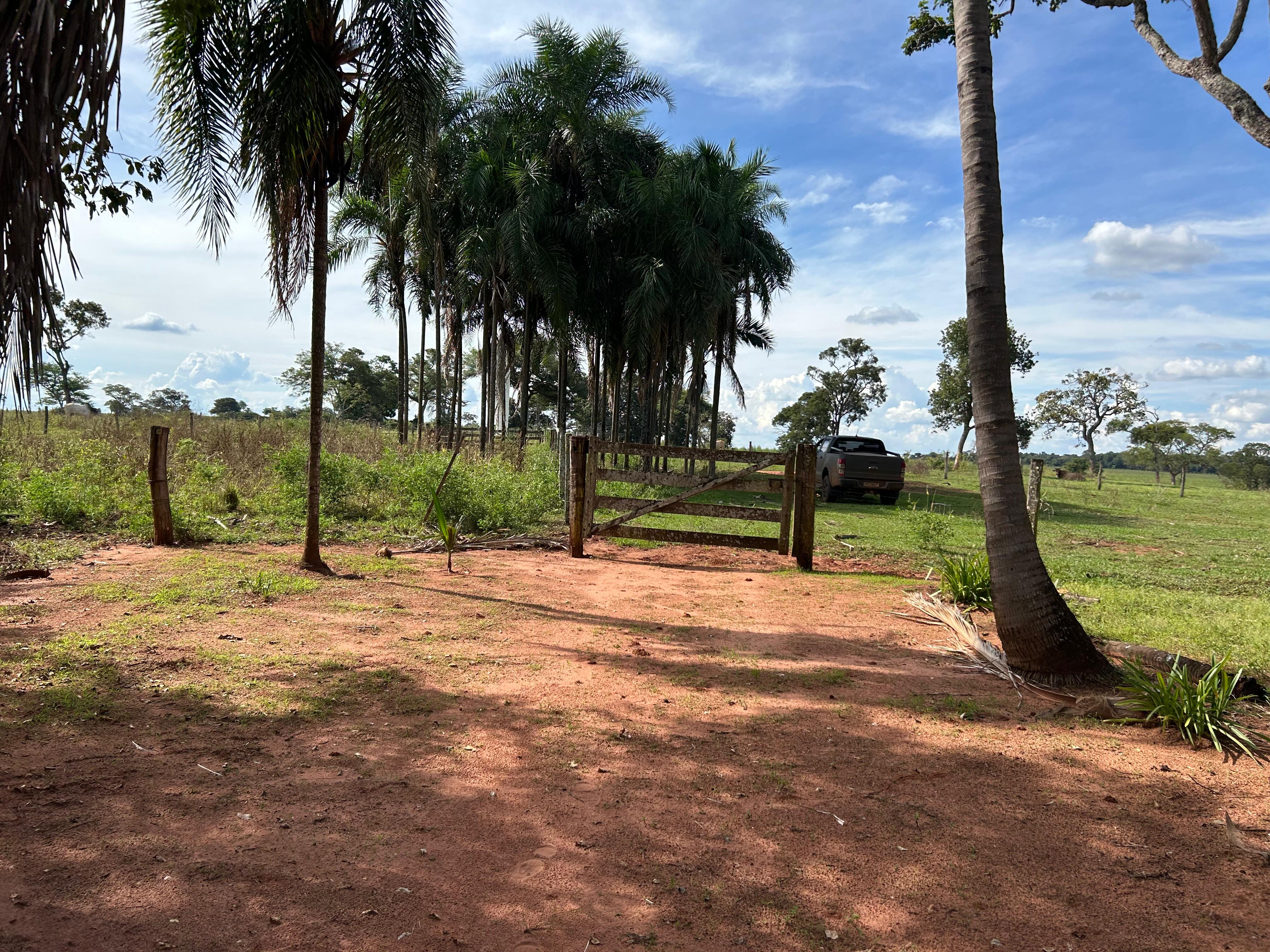 Fazenda à venda – Inocência / MS – 460 hectares