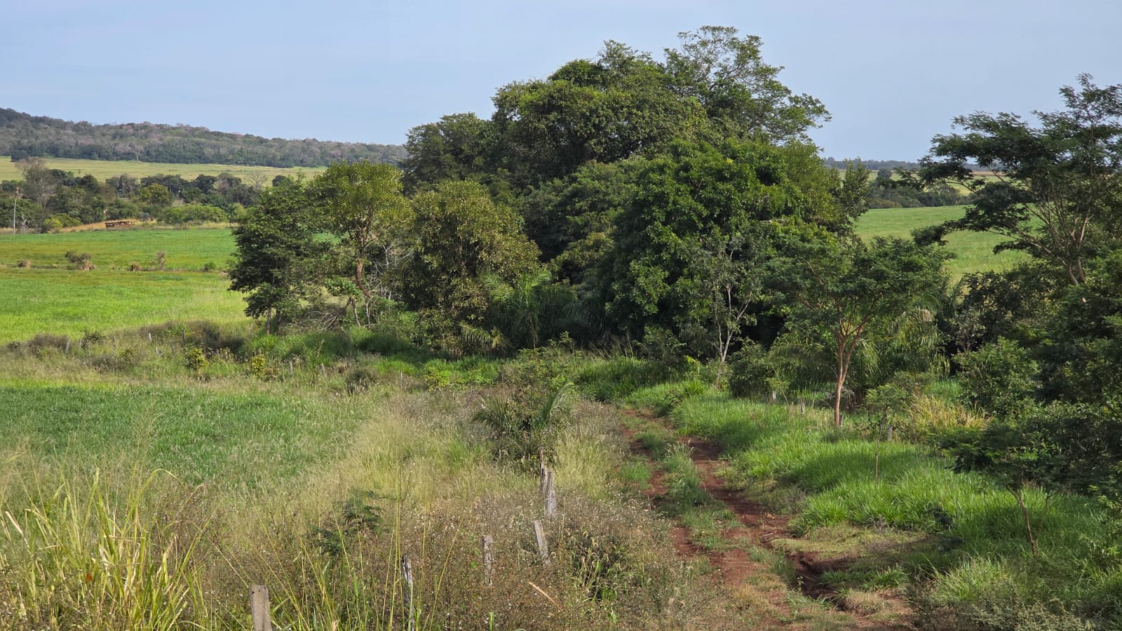 FAZENDA À VENDA – REGIÃO DE ROCHEDO/MS