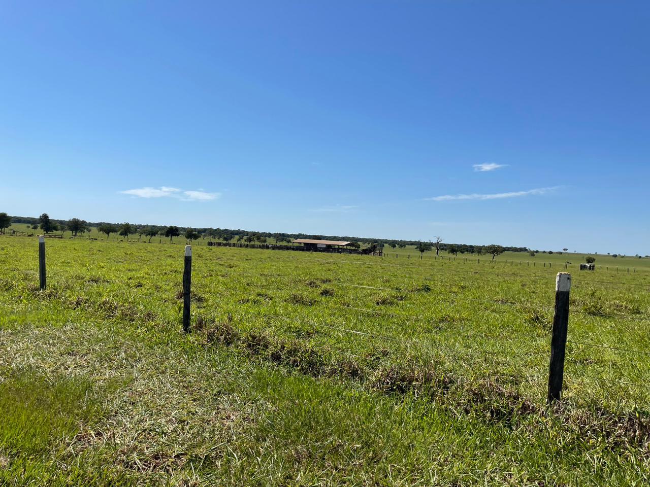 Fazenda à Venda – Rigião do Nova Alvorada