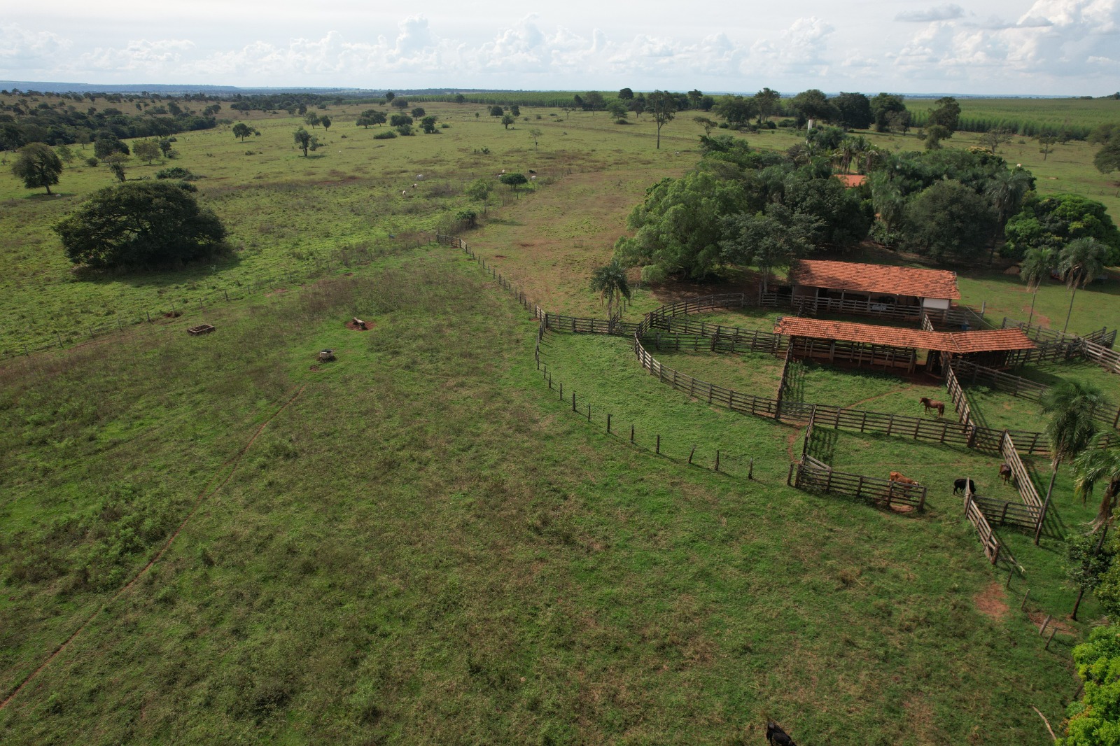 Fazenda à venda – Inocência / MS – 460 hectares