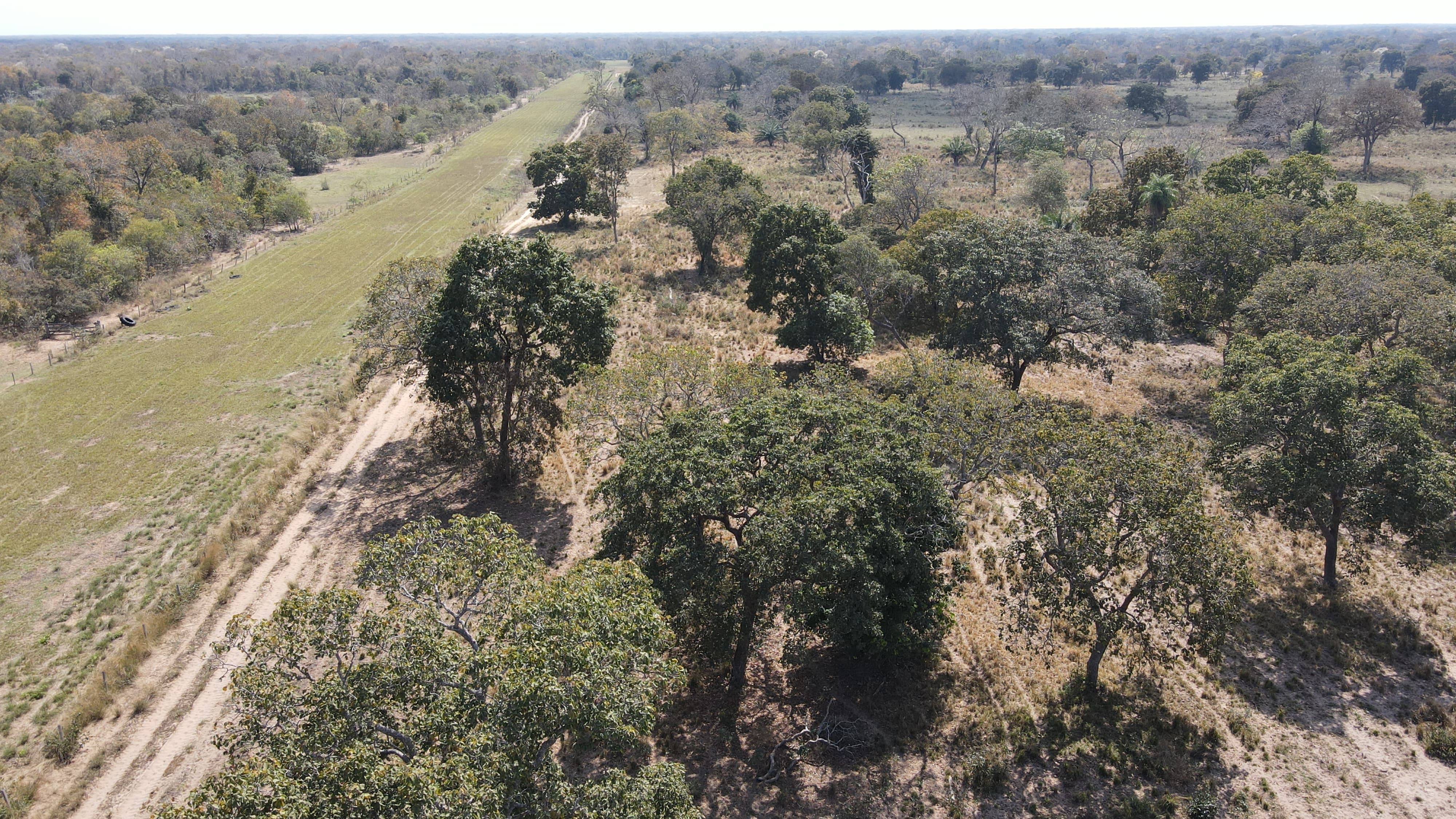 Fazenda à Venda – Região de Porto Murtinho/MS