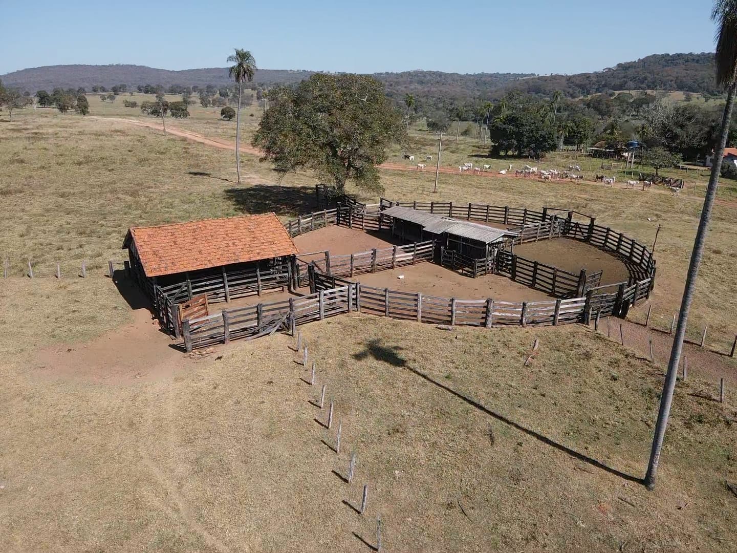  FAZENDA À VENDA – REGIÃO DE AQUIDAUANA/MS