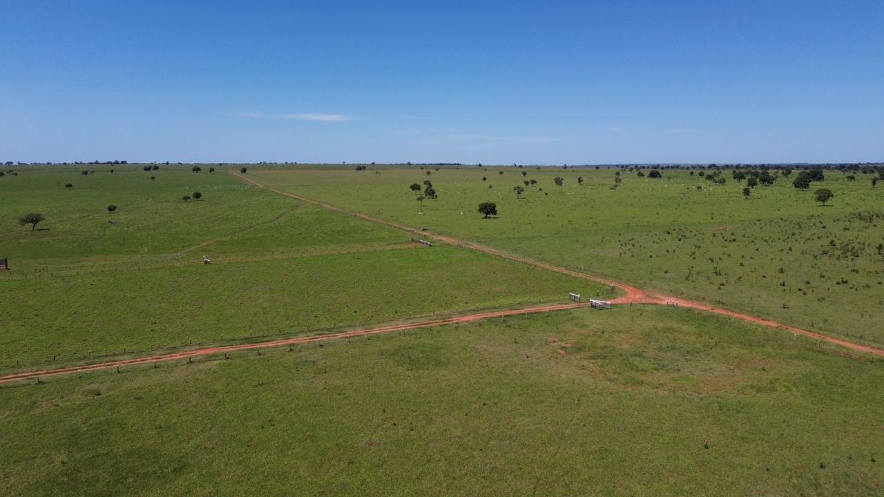 Fazenda à Venda – Rigião do Nova Alvorada