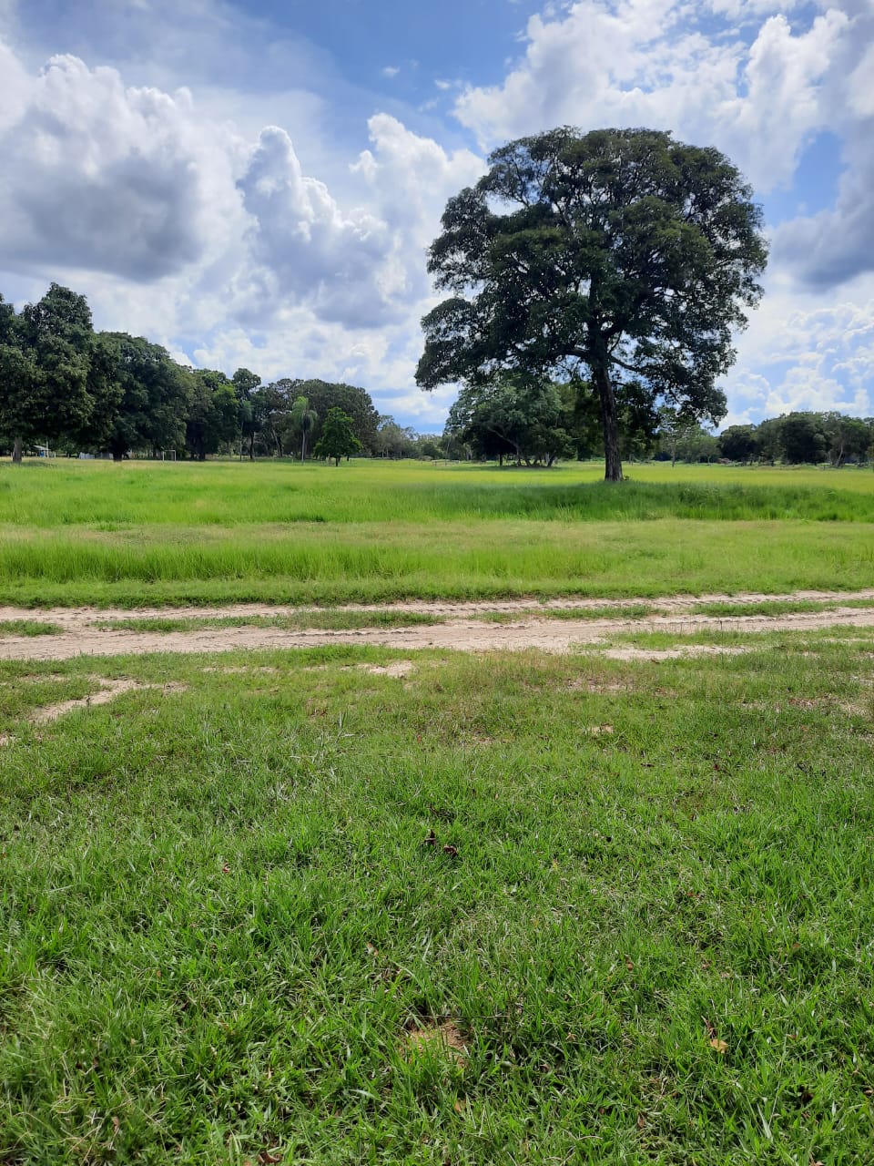 Fazenda à Venda – Pantanal do Rio Verde/MS