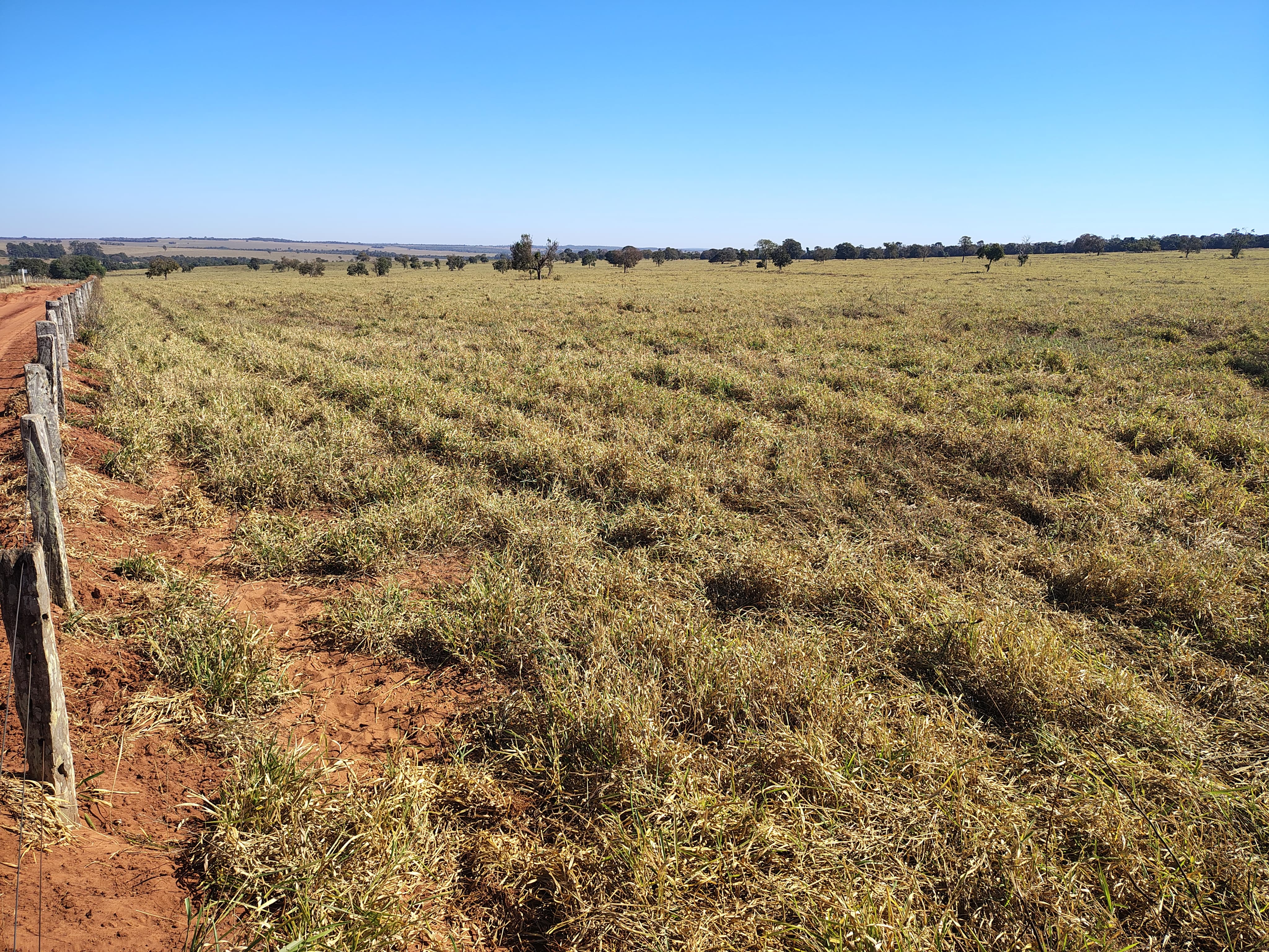 FAZENDA À VENDA – REGIÃO DE CAMPO GRANDE/MS
