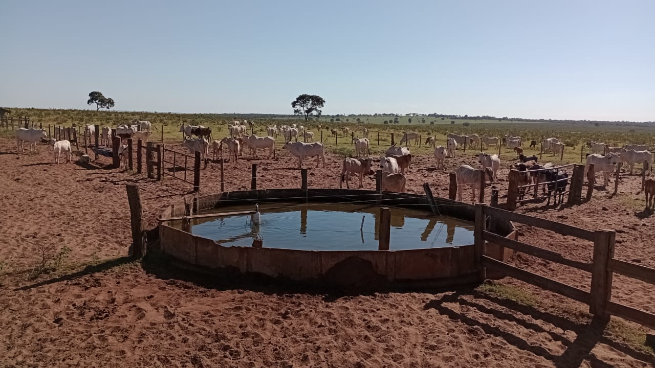 Fazenda à Venda – Região de Campo Grande/MS