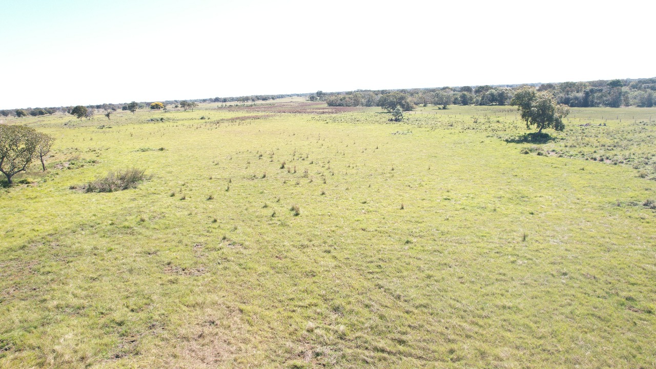 Fazenda à Venda -  Região do Pantanal Nhecolândia /MS