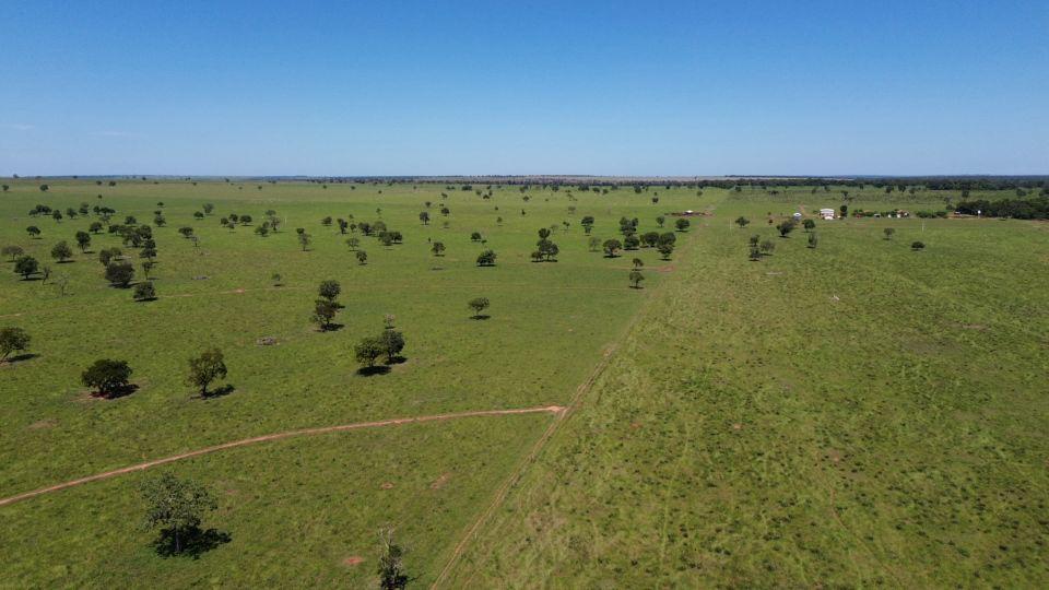 Fazenda à Venda – Rigião do Nova Alvorada