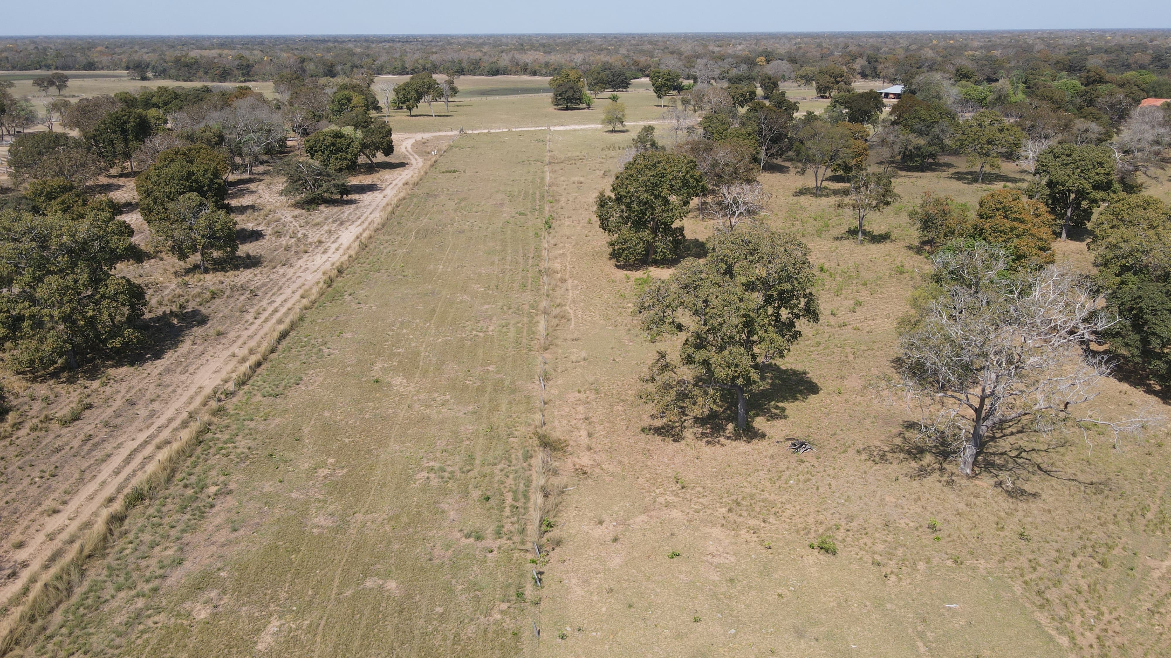 Fazenda à Venda – Pantanal de Rio Negro/MS