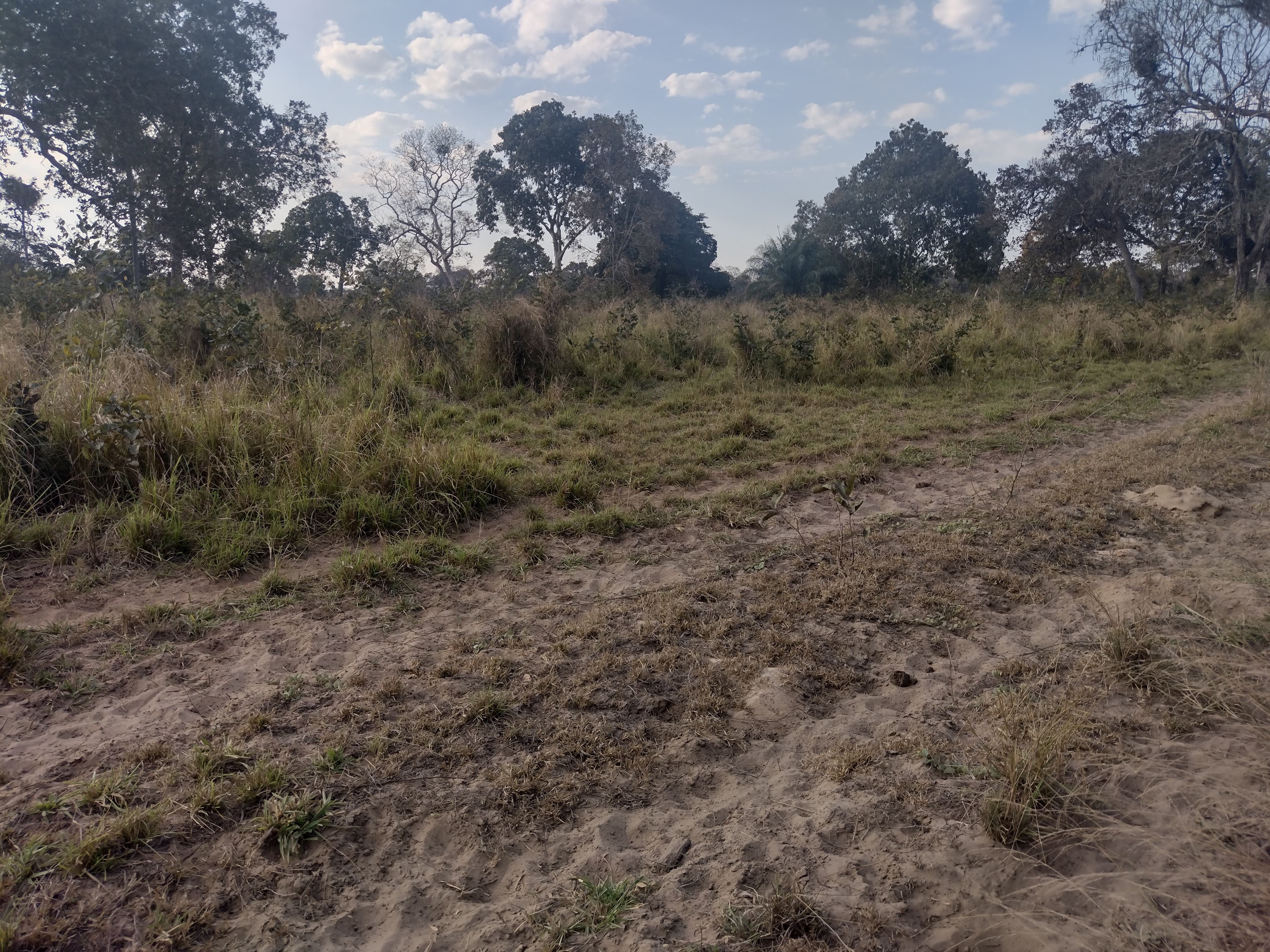 Fazenda à Venda – Região de Porto Murtinho/MS