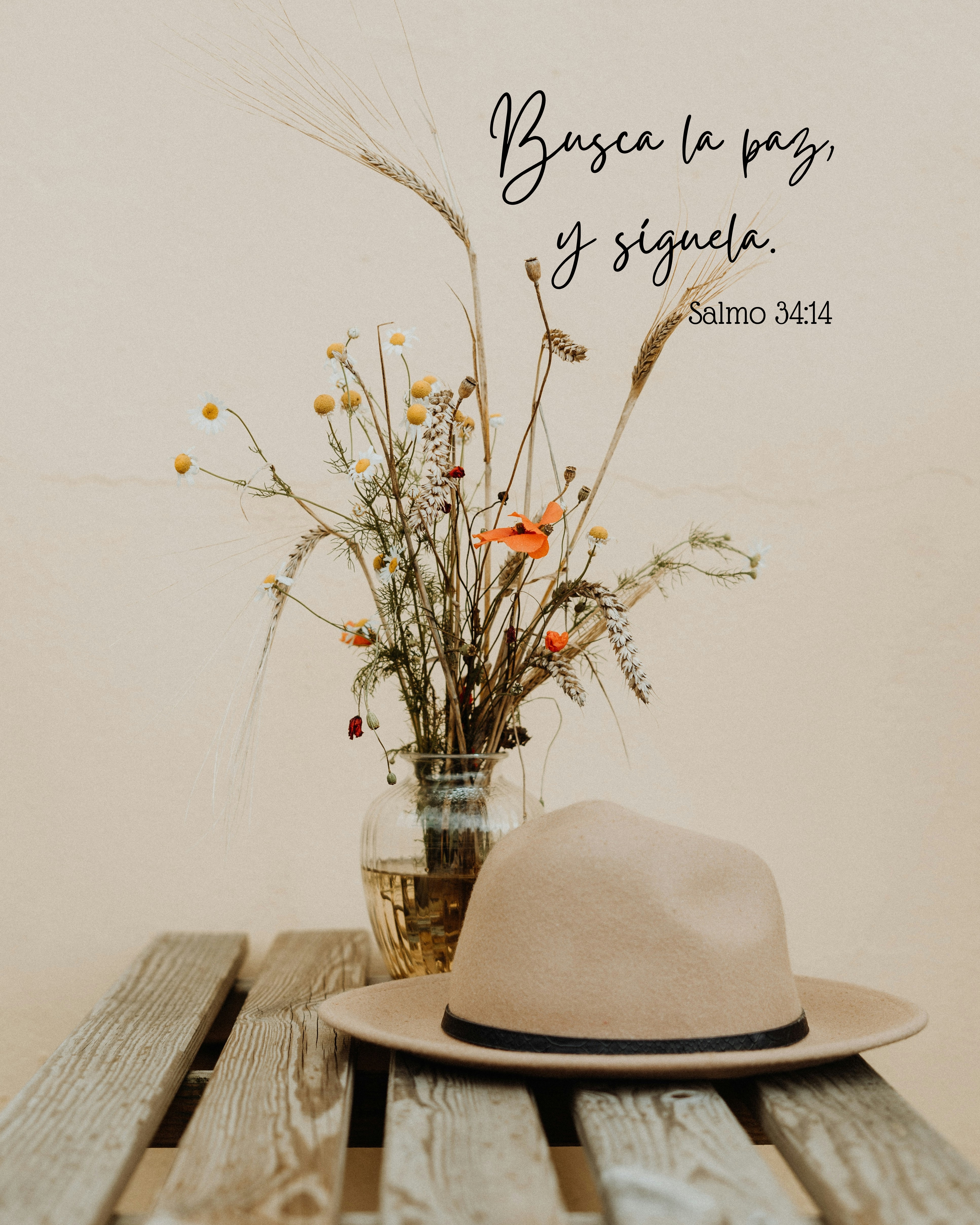 "Busca la paz y síguela" 